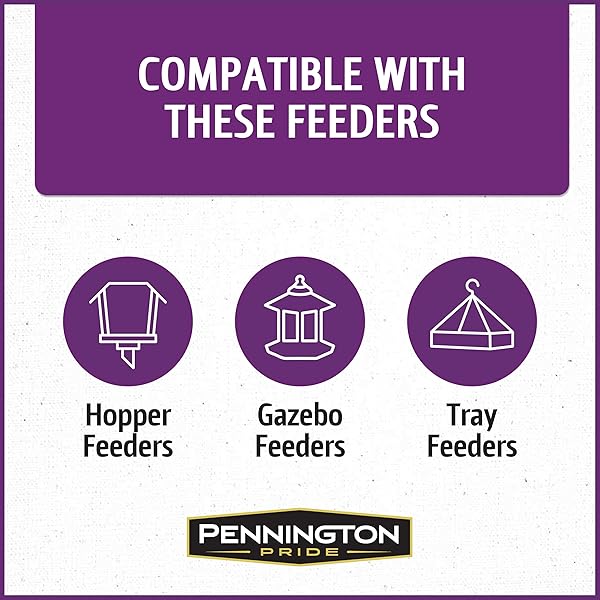 PENNINGTON PRIDE SONGBIRD NUT & FRUIT BLEND, WILD BIRD SEED FOR OUTSIDE FEEDERS, ADVANCED NUTRITION FORMULA FOR BIRD HEALTH, 10-LB. BAG