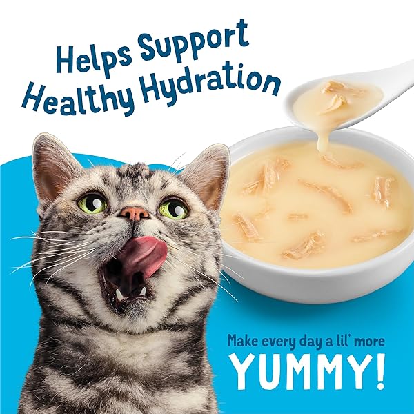 PURINA FRISKIES ALL-STAR FAVES WET CAT FOOD COMPLEMENTS VARIETY PACK – 8 CT. BOX