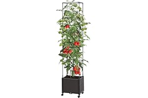 Lynxor 78.7" Raised Garden Bed Planter Box with Trellis, Self-Watering Climbing Vine Vegetables, Flower, Tomato Cage Planters with Wheels for Indoor, Outdoor, Patio, Greenhouse, Gardening