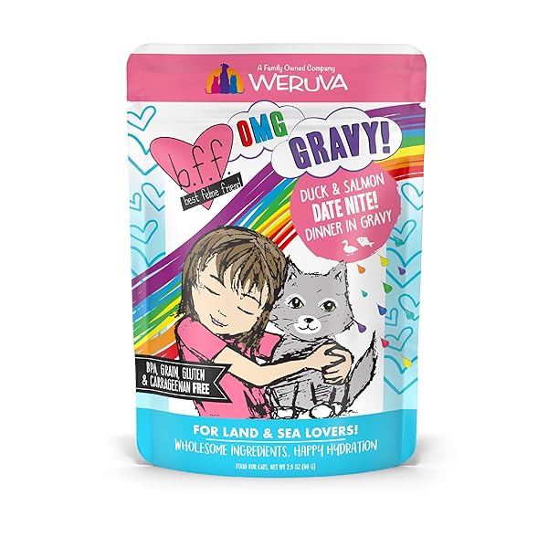 WERUVA B.F.F. OMG – BEST FELINE FRIEND OH MY GRAVY!, DATE NITE! WITH DUCK & SALMON IN GRAVY CAT FOOD, 2.8OZ POUCH (PACK OF 12)