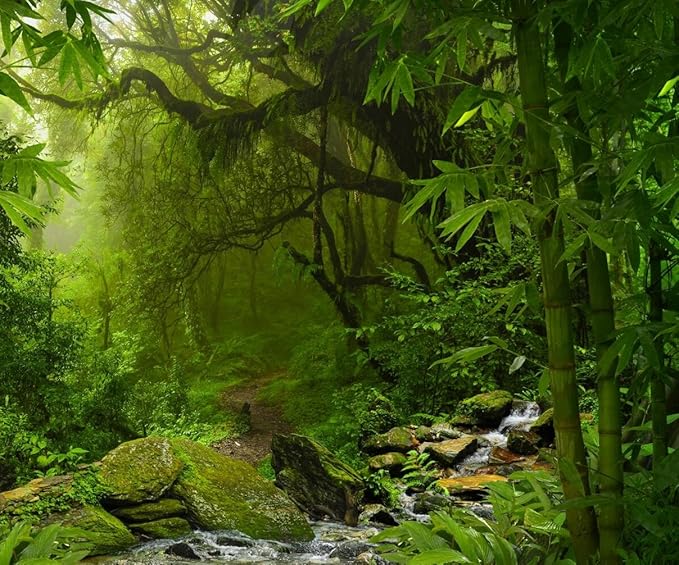 LQ5042_ Tropical Jungle Backdrop for Photography Amazon.co.uk Camera & Photo