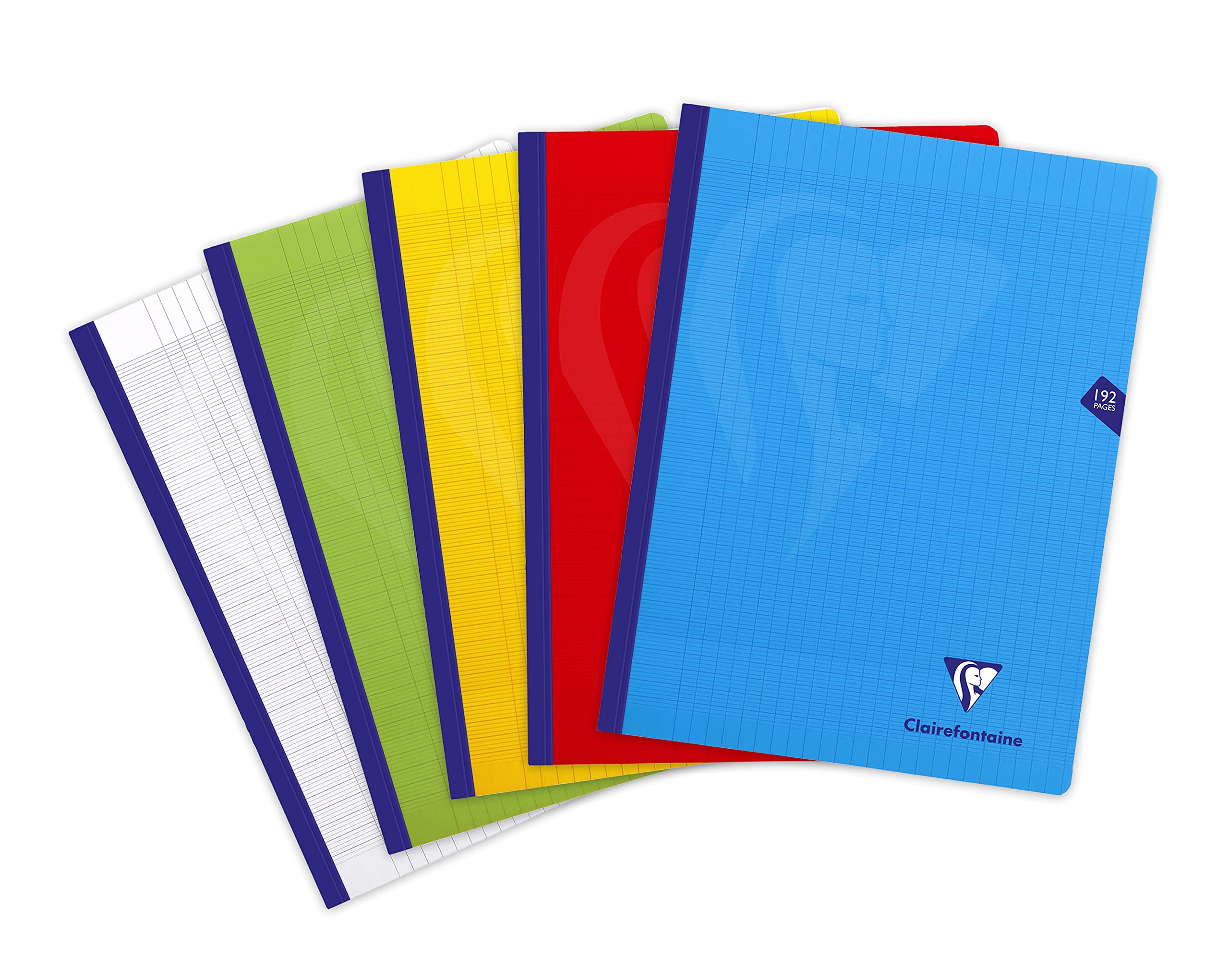 Clairefontaine 309341C - One Mimesys Thread Stitched Notebook - Size: 24x32 cm - 192 Seyes Ruled Pages - 90 g White Paper - Polypro Cover - Random Colour