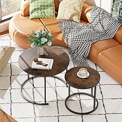aboxoo Coffee Table Nesting Round Table Set of 2