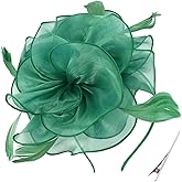 DRESHOW Fascinators Hat Tea Party Headwear Ribbons Feathers on a Headband and a Clip for Women