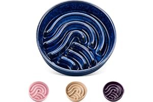 vancasso Slow Feeder Dog Bowl, 0.6 Cup Ceramic Slow Feeding Food Dish for Small Breed, Puzzle Dog Food Bowl for Fast Eater, Blue