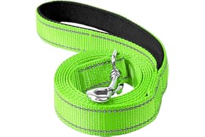 Erbine 6FT Reflective Nylon Dog Leash with Soft Padded Handle for Walking, Running and Training, Supports Small Medium and Large Dogs (Green, 3/4Inch Wide)