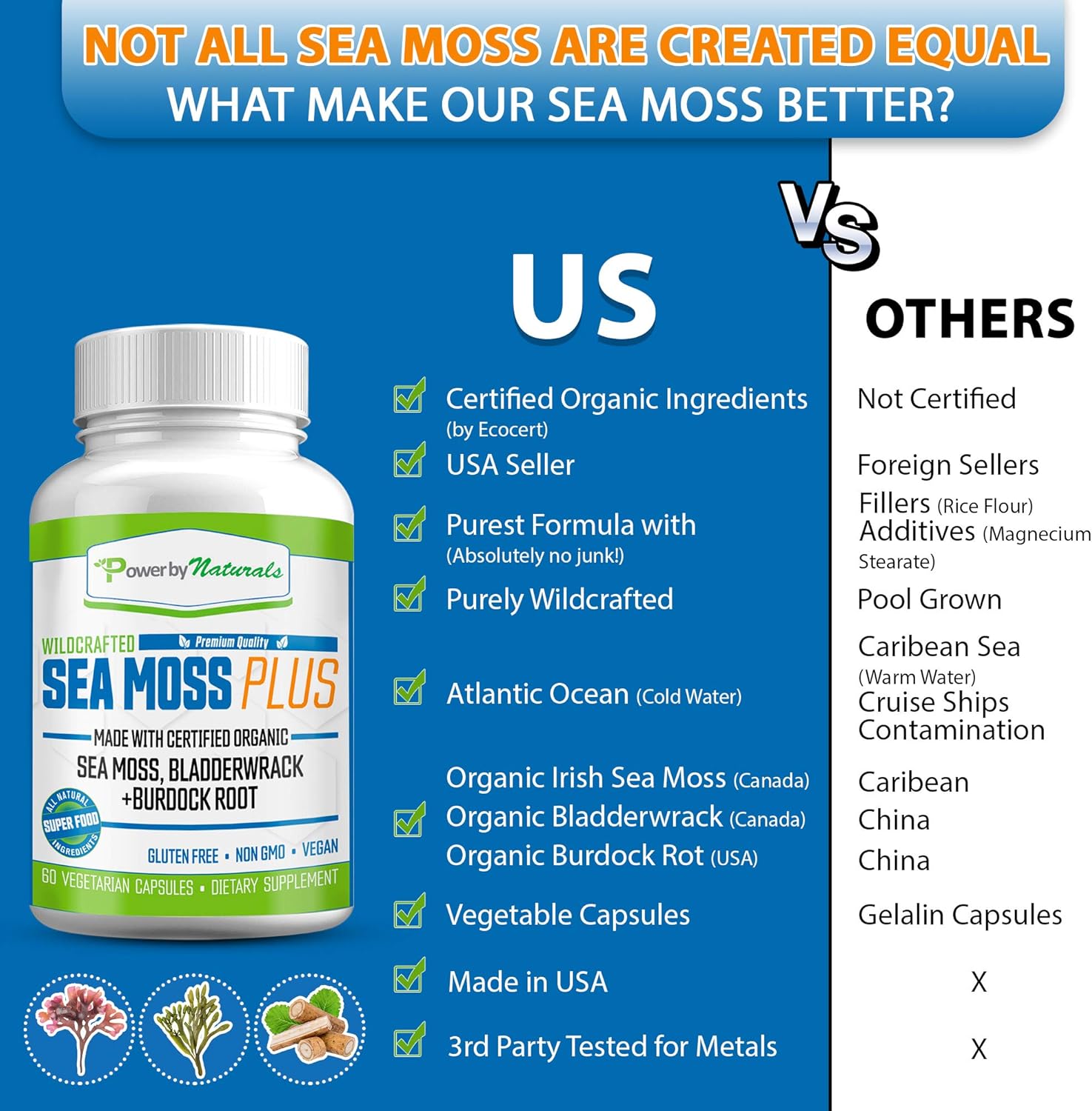 Power by Naturals – Certified Organic Sea Moss Plus – Wildcrafted Irish Sea Moss Bladderwrack Burdock Root – Pure Sea Moss Powder Supplements - No Fillers, Vegan, non-gmo - Seamoss Capsules (60 Pills): Health & Personal Care