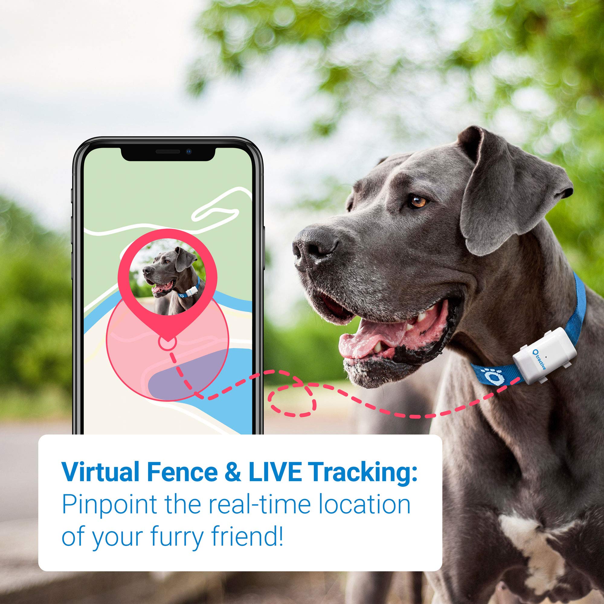 Tractive GPS XL Tracker for Dogs waterproof pet finder collar