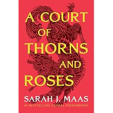 A Court of Thorns and Roses - View 7