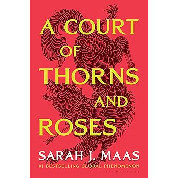 A Court of Thorns and Roses - View 8