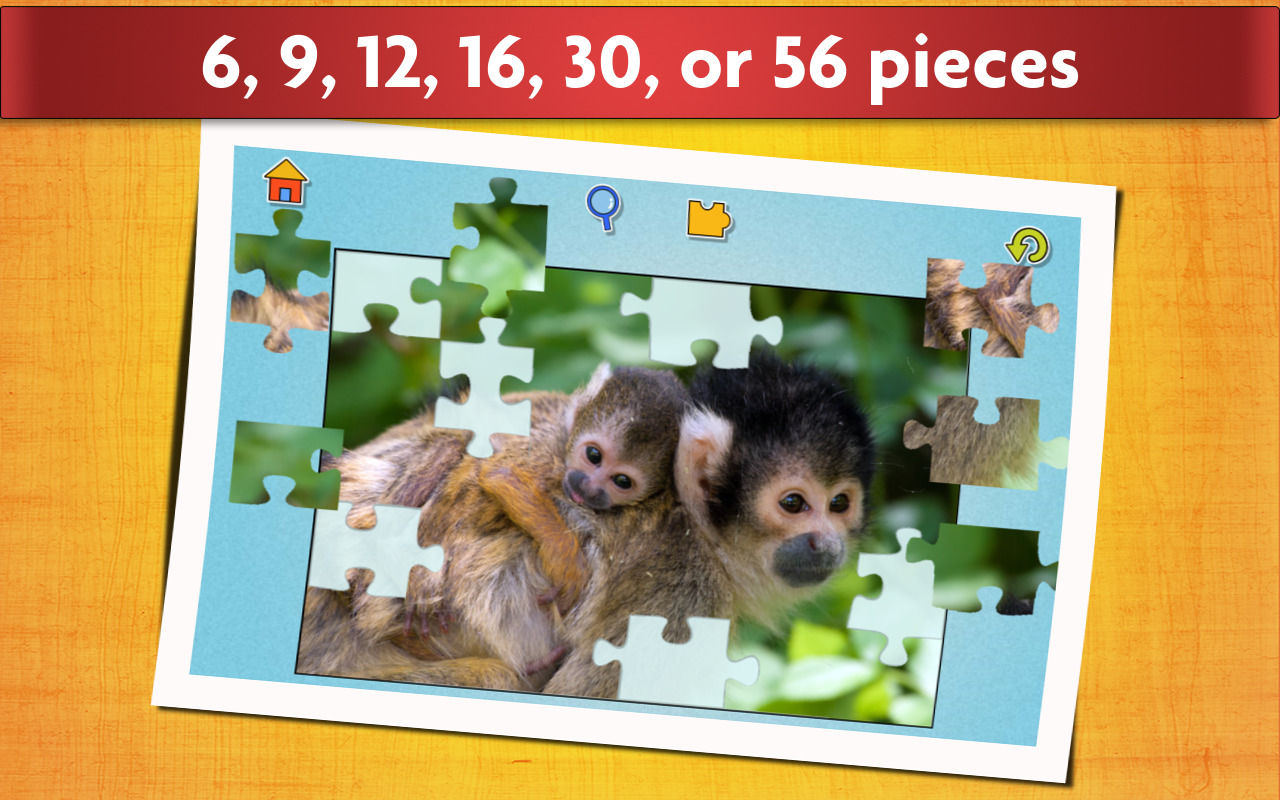 Cute Animal Puzzles for Kids Fun and Educational Jigsaw