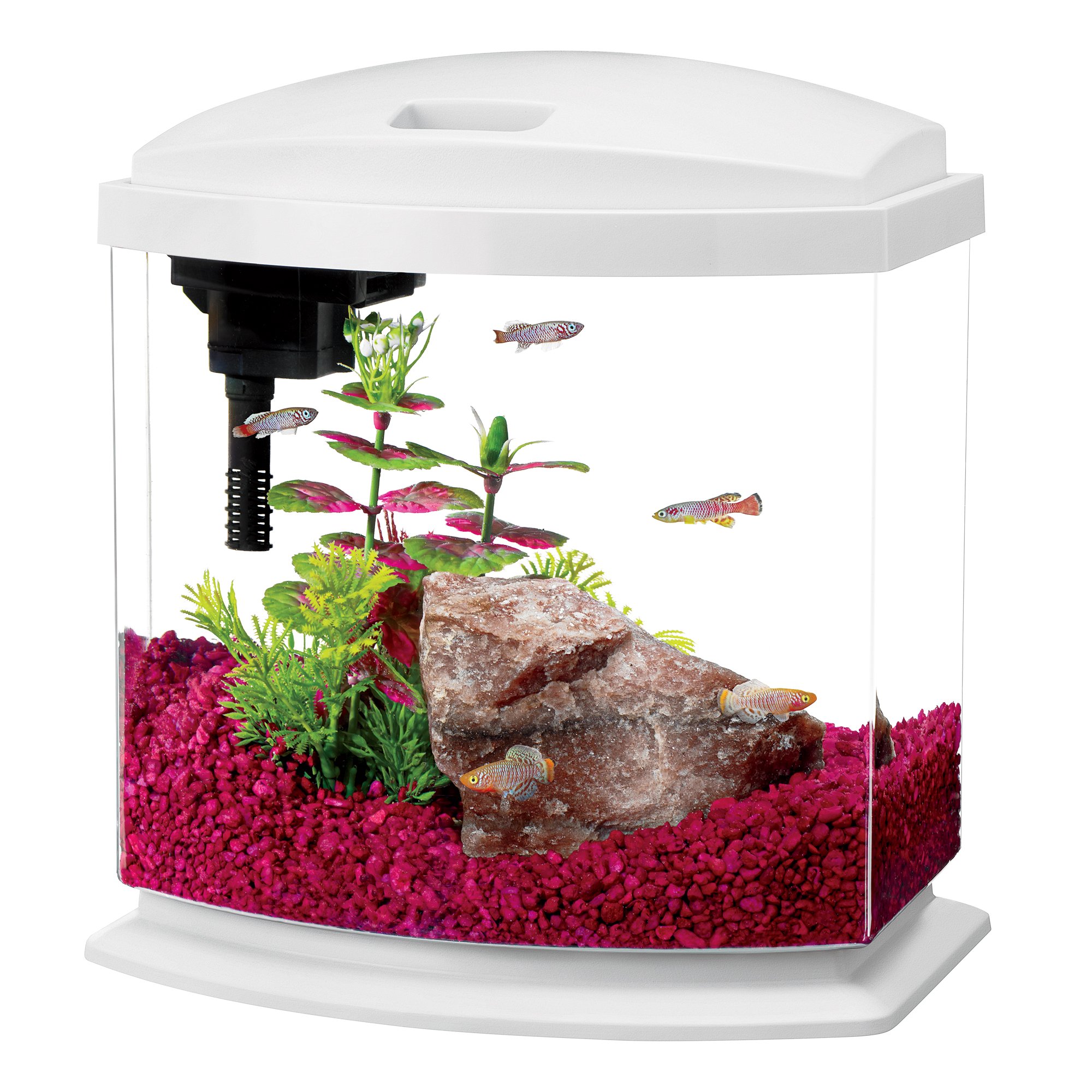 Aqueon LED MiniBow Aquarium Starter Kits with LED Lighting, 2.5 Gallon