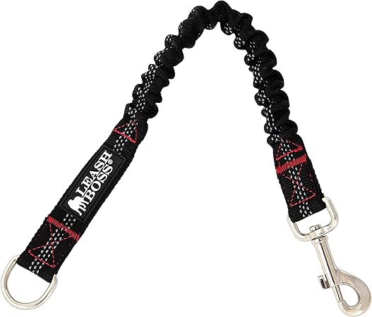 bungee dog leash extension