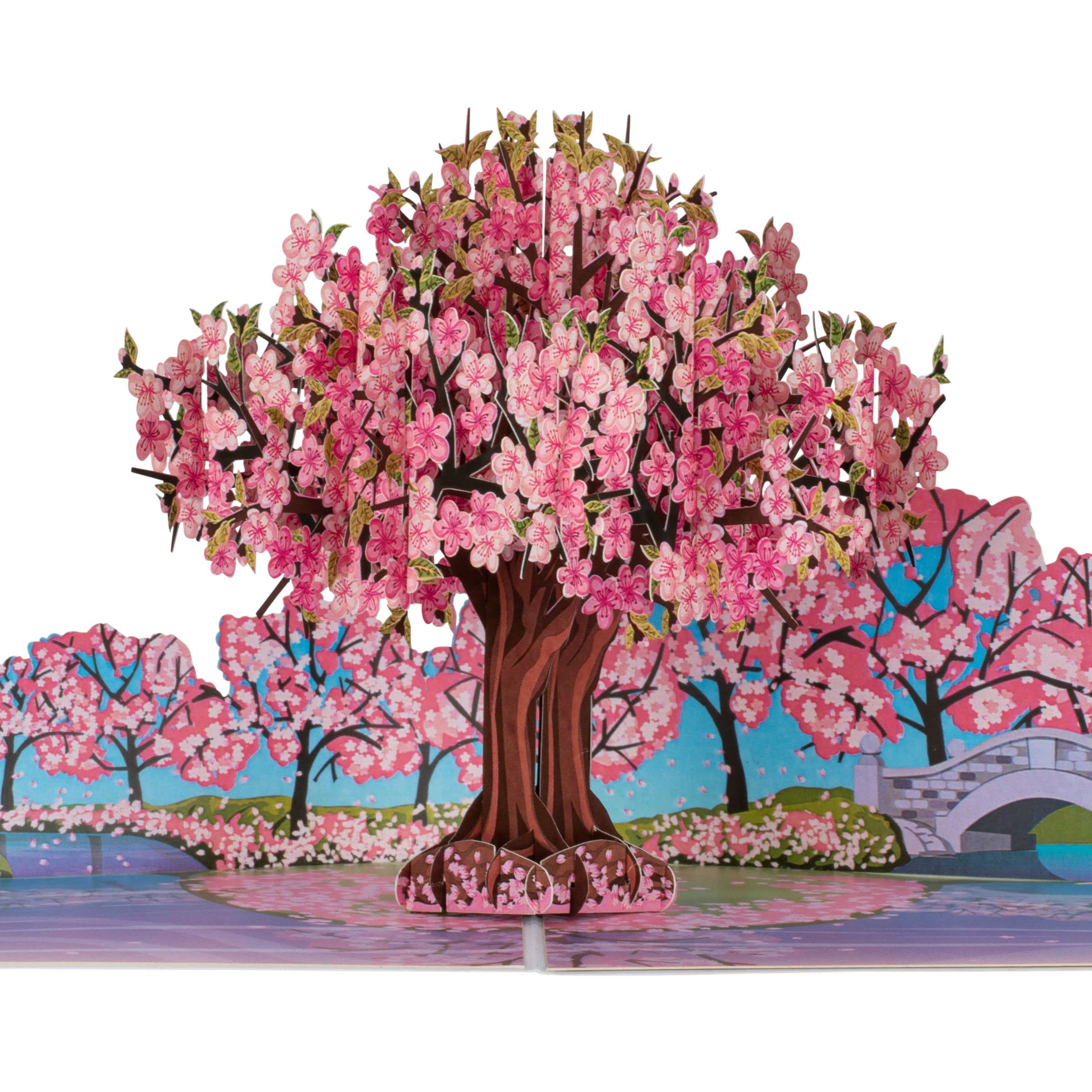 Cardology - Pink Cherry Blossom Pop-Up Card | Mothers Day, Birthday Cards For Her or Valentines Day