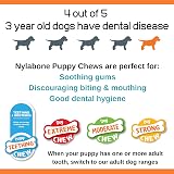 Nylabone Puppy Starter Kit 3 Pack Small Teething Chew Bones for Puppies up to view 7