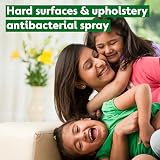Dettol Antibacterial Spray Crisp Linen 1.8L (300ml x6) Disinfectant view 4