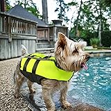 tiny dog life jacket