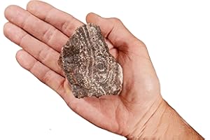 Rock Your Chakra Banded Onyx 3" 8-12 Oz Root Chakra Healing Crystal Rough Rock Mineral Raw Specimen