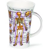 Dunoon Glencoe Fine China Educational THE HUMAN BODY Mug Cup 500ml 16.9 fl oz