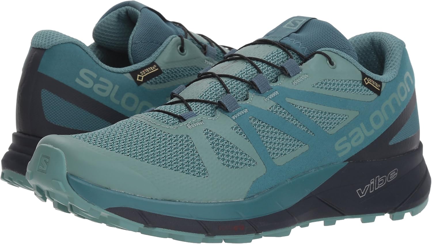 salomon sense ride 2 goretex