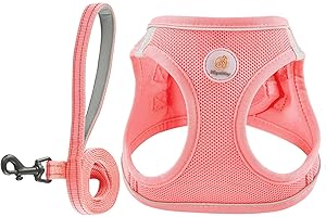 Hipubby Dog Harness and Leash Set, No Pull Soft Mesh Puppy Harness for Small Medium Dogs, Cats - Step in Reflective Breathable Lightweight Vest Harness for Walking, Training - Pink, XS