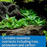 API Root Tabs Freshwater Plant Fertilizer 10 Tablets Box 13 g Each view 3