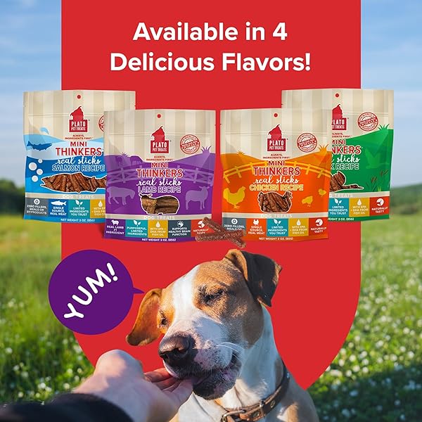 PLATO PET TREATS THINKERS – MEAT STICK TREATS FOR DOGS – LIMITED INGREDIENT DOG TREATS WITH EPA AND DHA TO SUPPORT SKIN, COAT, AND BRAIN – AIR-DRIED DOG TREATS – MINI THINKERS LAMB 3OZ