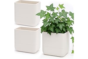 Phoenix Vine 6.5-Inch Wall Mounted Self-Watering Planter Pot for Indoor Houseplants and Herbs | Hanging Planter for Window Sills, Bathroom Walls, Home & Office Décor, Oatmeal, Set of 3, 01-WP-D-3