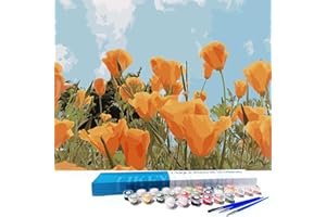 LikeyFactory Paint by Numbers Kit for Adults on Canvas with Paintbrushes Color Acrylic DIY Drawing Premium Quality Colorwork Paintwork (16"x20", Poppy Flowers)