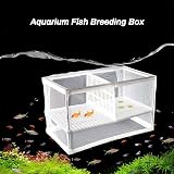 IRYNA Fish Breeding Box with Suction Cups 26x15x15cm Large Hatchery Net view 5