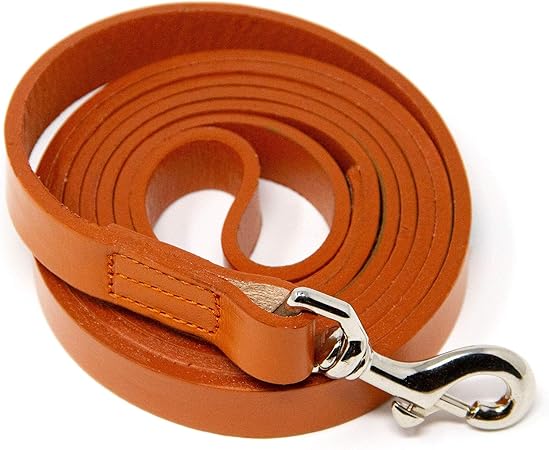 logical leather dog leash