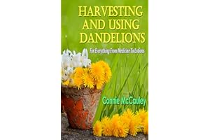 Harvesting And Using Dandelions: For Everything From Medicine To Lotions