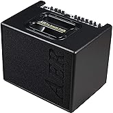 AER COMPACT 60/4 ACOUSTIC AMPLIFIER