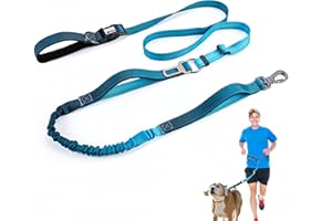 JETOG Heavy Duty Hands Free Dog Leash, 5-7 FT Reflective Adjustable Waist Dog Leash Belt with Padded Handles, Shock Absorbing Bungee and Car Seat Belt for Large Medium Dogs (Gradient Aegean, XL)