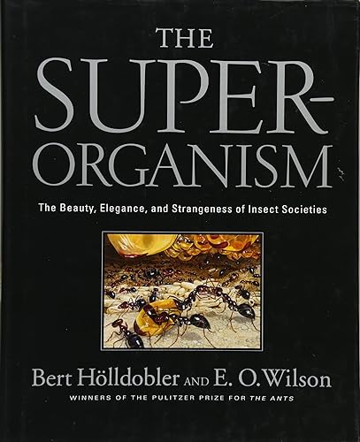 Download The Superorganism – The Beauty, Elegance and Strangeness of Insect Societies PDF