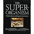 The Superorganism: The Beauty, Elegance, and Strangeness of Insect Societies