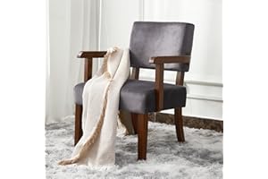 FAGAGA Accent Chair, Living Room Chairs Oversize with Soft Seat and Armrests for Living Room Dinning Room Bedroom Reading Room Waiting Room