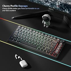 Womier Shine Through PBT Keycaps 60 75 100 Percent