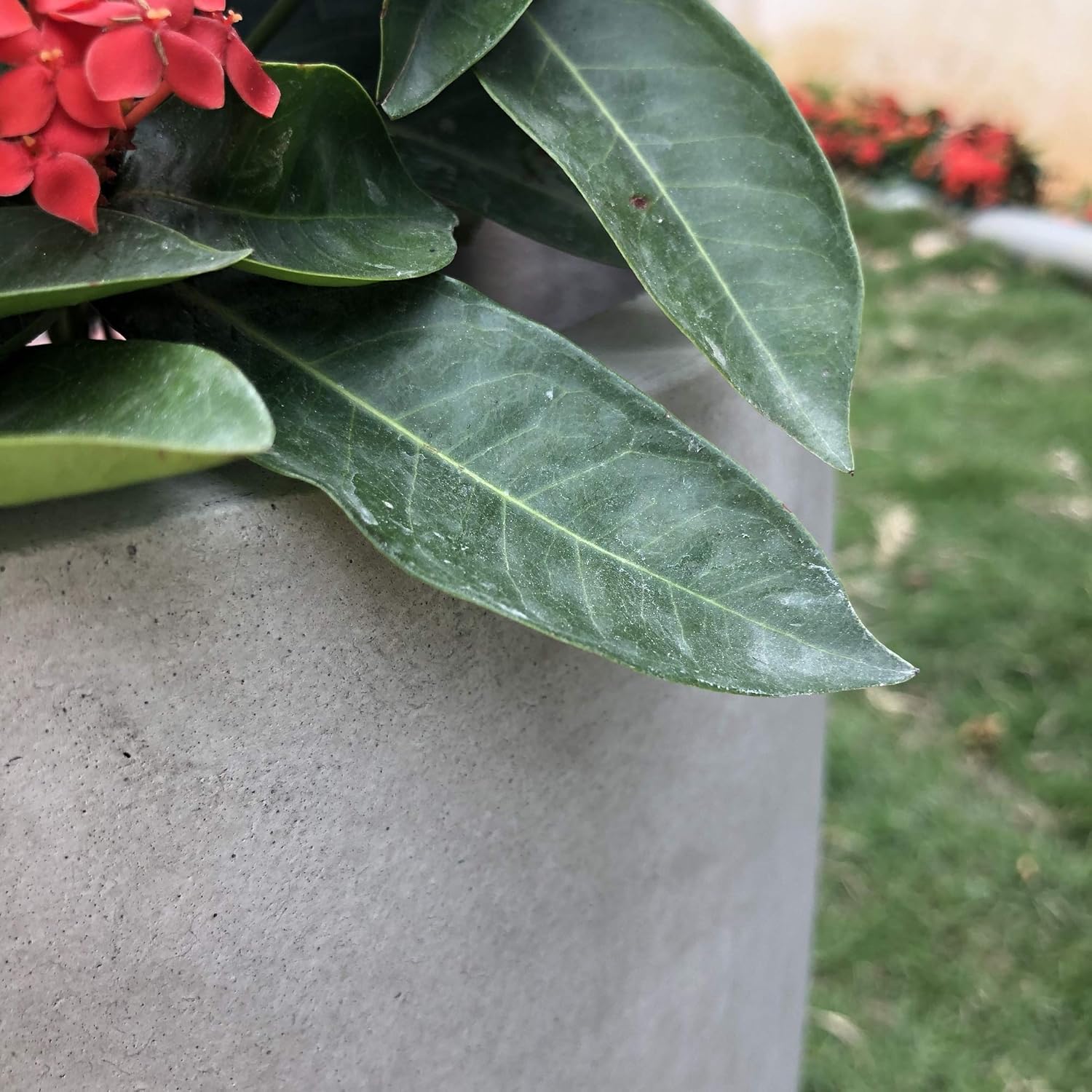 Kante RC0050C-C80021-2 Lightweight Durable Modern Round Outdoor Planter, Weathered Concrete : Garden & Outdoor