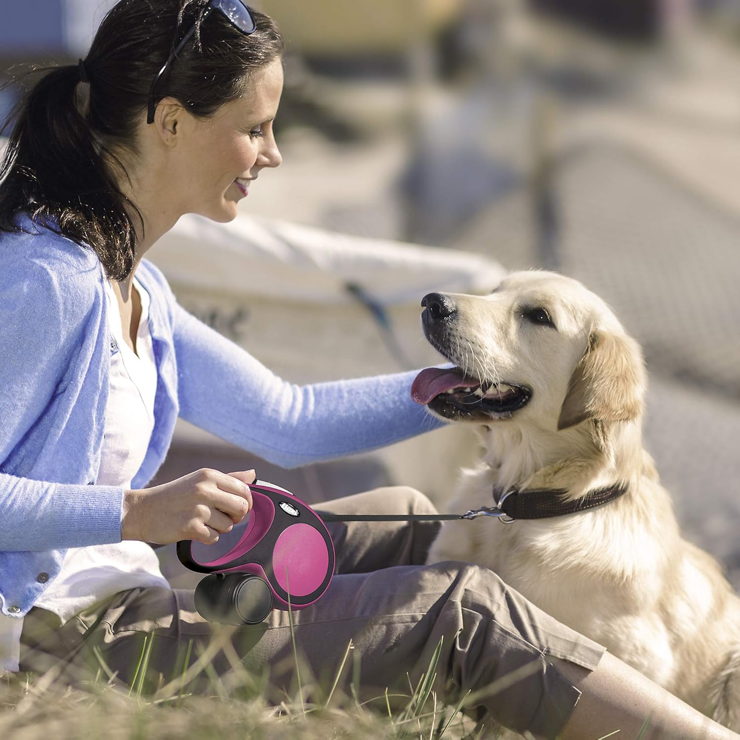 flexi small dog leash