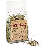 Rosewood Pet 1 Pouch Dandelion Delight Food for Small Animals, 100G