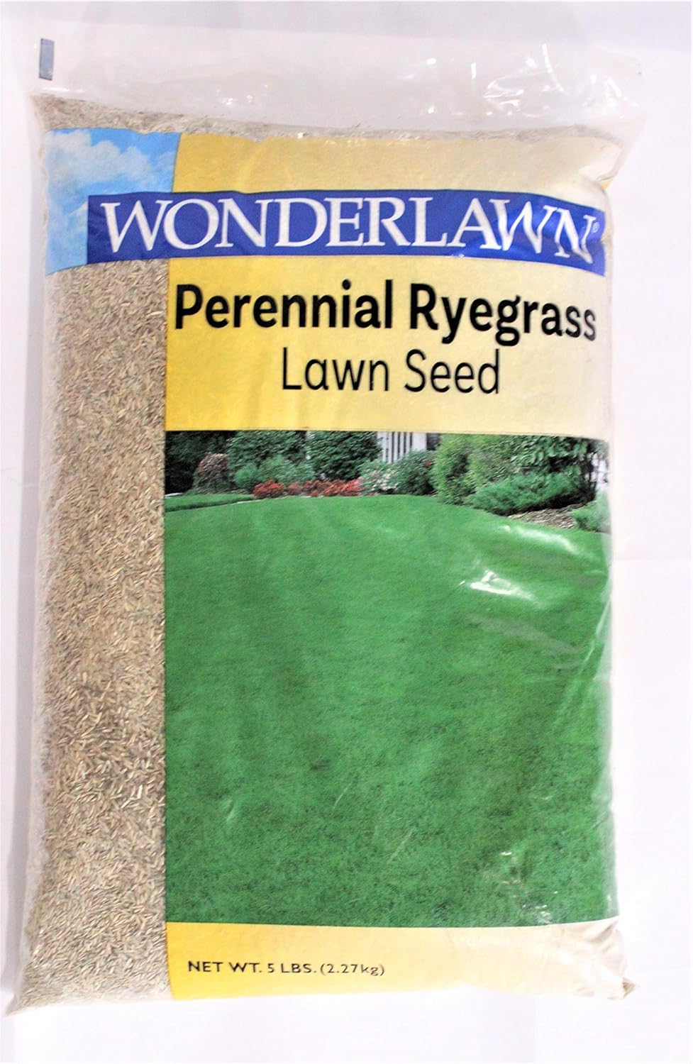 Barenbrug USA 22205 Perennial Ryegrass Grass Seed Amazon.ca Patio, Lawn & Garden