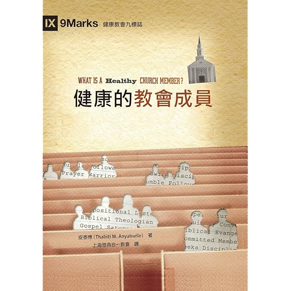 夕照漫笔（上下册） 资中筠 41Ak7mSR43L.jpg_BO30,255,255,