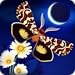 Flutter: Starlight