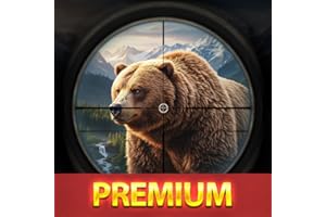 Bear Hunting Wild Jungle Adventure Simulator Game – Realistic Animal Hunter Missions