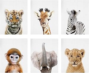 Baby Animal Posters and Prints - EPHANY ART YMX016 - Baby Nursery Decor Pictures Set of 6 (Unframed) Cute Animal Photography Wall Prints for Baby Boys & Girls Room YMX016 (8