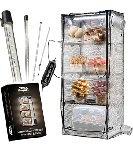 Indoor Mushroom Grow Tent Kit, Automated Humidity Control, LED Light, Fresh Air System & Still Air Box, Fits Oyster/Lions Mane, Ideal Gardening Gift : Patio, Lawn & Garden