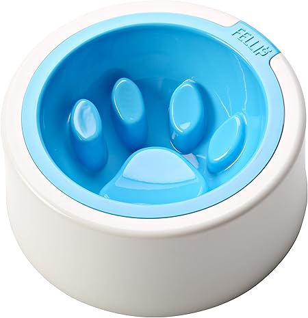 a dog man's best friend