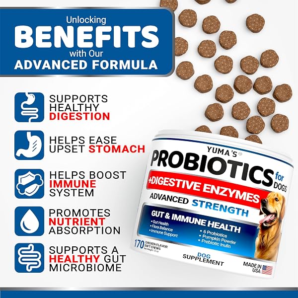 PROBIOTICS FOR DOGS AND DIGESTIVE ENZYMES – 170 DOG PROBIOTICS CHEWS – DOG PROBIOTIC – ANTI DIARRHEA, UPSET STOMACH & GAS RELIEF, CONSTIPATION, CANINE PREBIOTIC – PET FIBER SUPPLEMENT – GUT HEALTH
