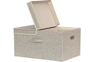 BinWhiz Trunk Organizer, 23.4 x 15.7 x 11.8 inch, 70L Large Capacity Storage Box with Lid for Cars, SUVs, RVs, 2-Compartment Collapsible Trunk Organizer, Beige